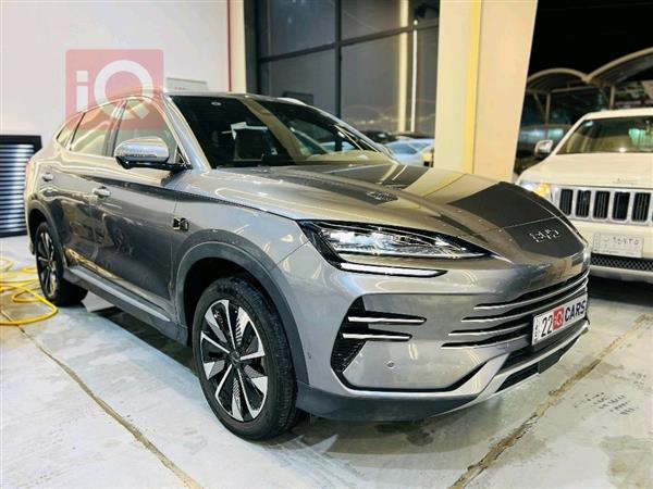 بی وای دی سۆنگ پڵەس 2025  بۆ فرۆشتن لە عێراق - نەجەف